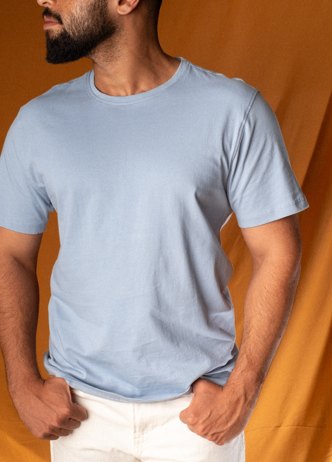 Arctic Blue Organic Cotton Classic T Shirt For Men Online