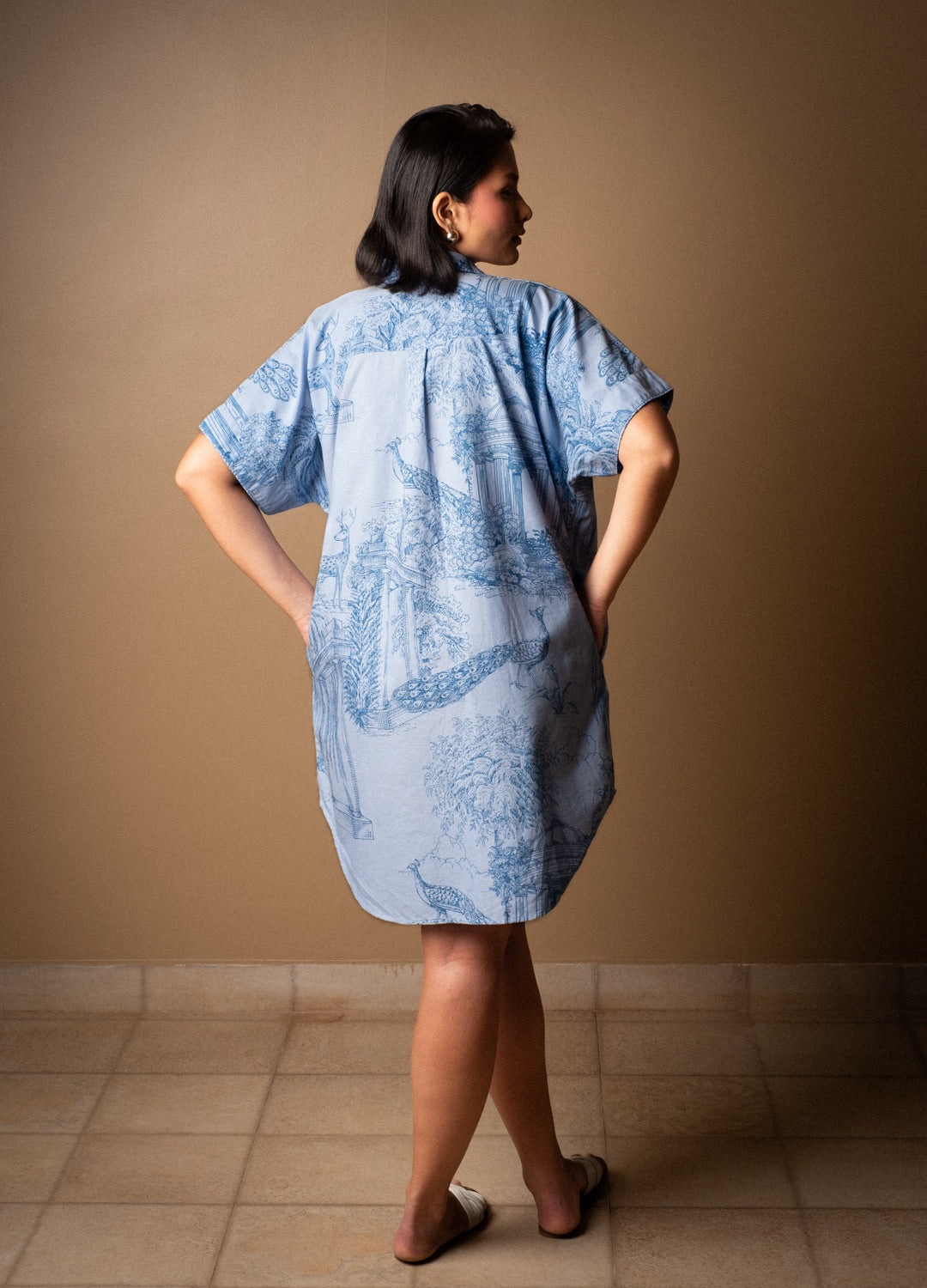 Verandah Shirt Dress