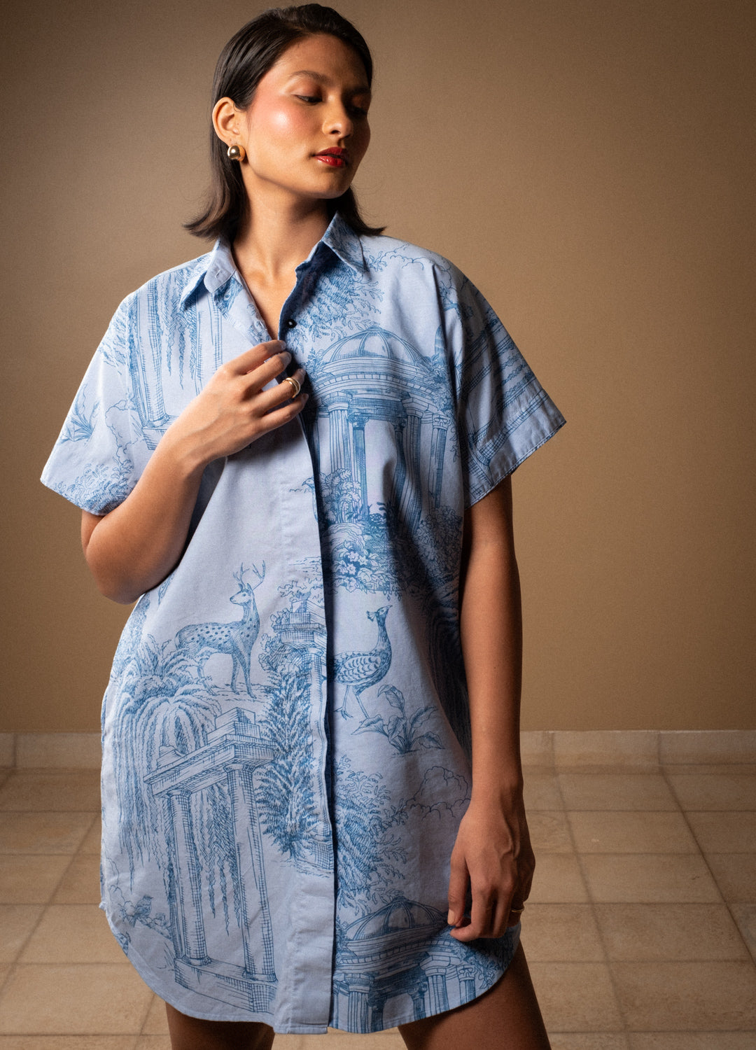 Verandah Shirt Dress