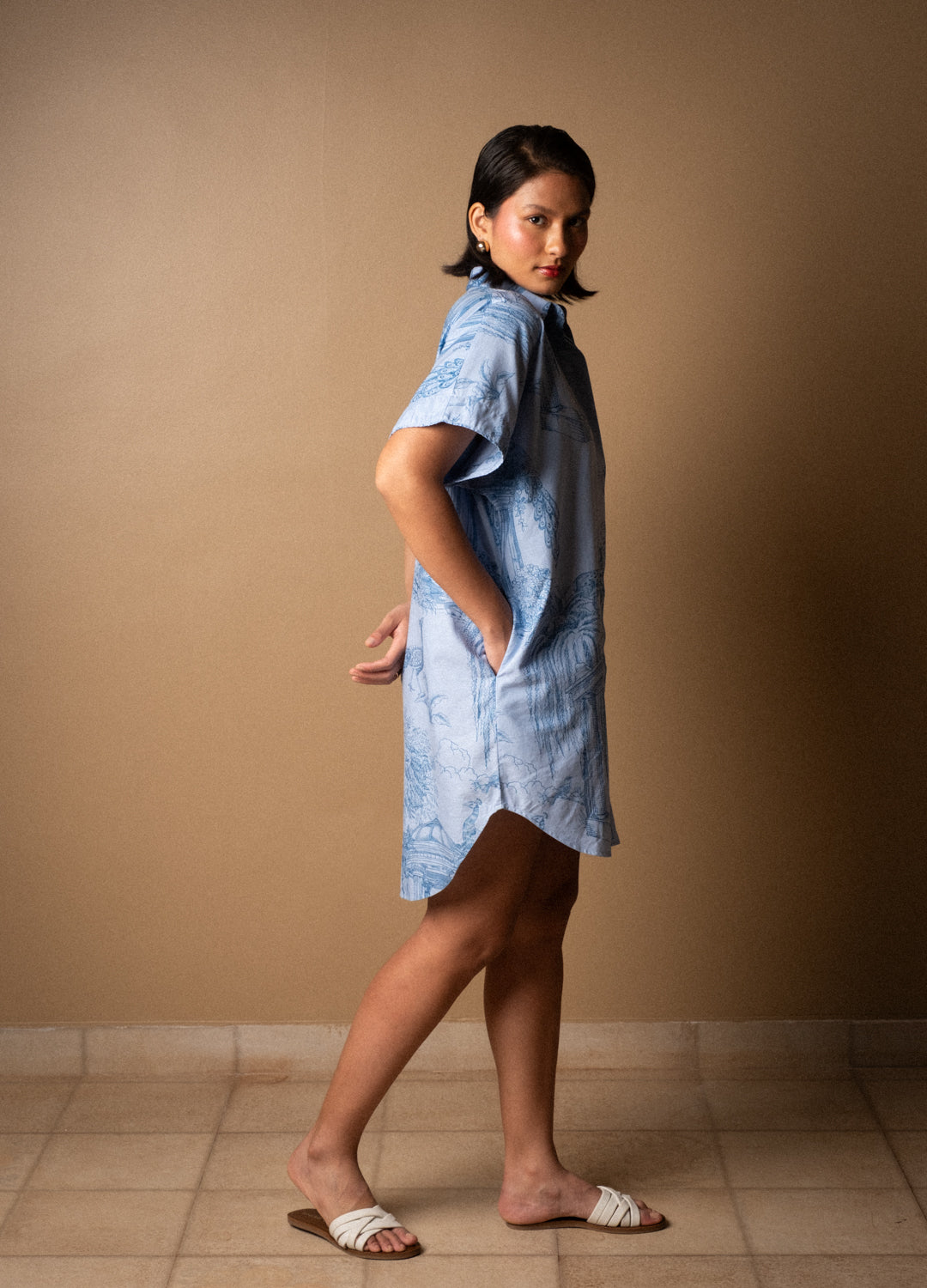 Verandah Shirt Dress