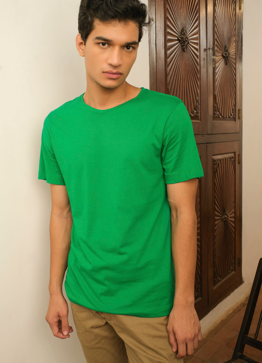Gecko Green Sustainable Cotton Classic Tees For Men Online