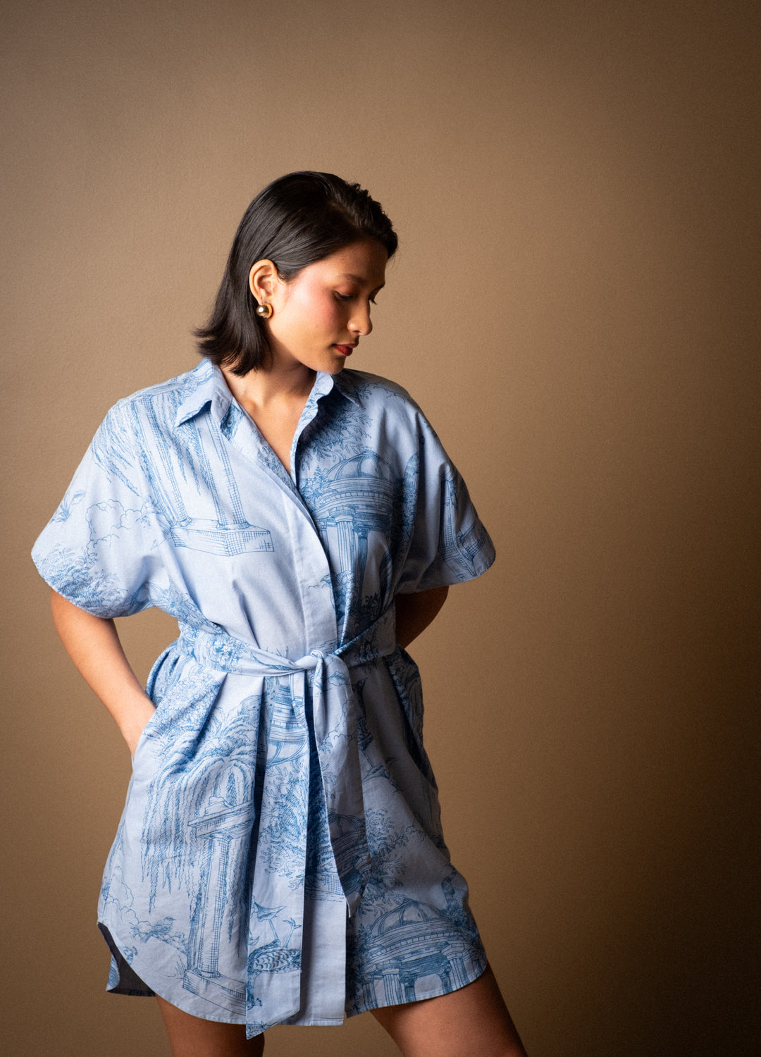 Verandah Shirt Dress